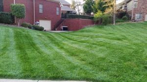 Lawn Care Service East Brainerd. A beautifully trimmed lawn from Ray Lawns'