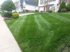 Chattanooga lawn care services. A nicely cut and landscaped yard with super green grass from Ray Lawns.