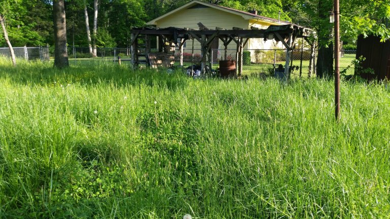 Overgrown yard in need of yard cleaning services in Chattanooga, featuring tall grass and weeds surrounding a backyard pergola and fence.