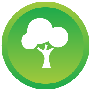 tree-icon-8-6092bed1cb461