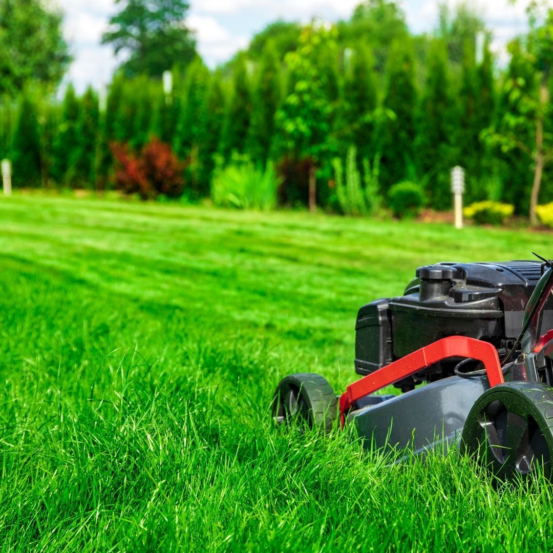 1080x1080-image4-625d8abf9a29d