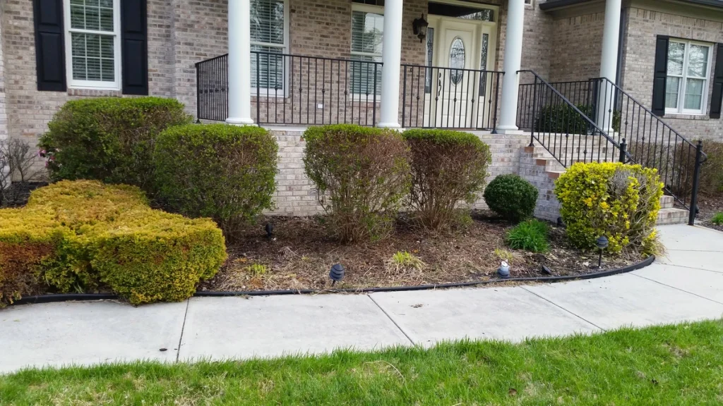 Front landscaping with trimmed shrubs and small plants arranged in a mulched bed. A curved sidewalk leads to steps and a covered porch.