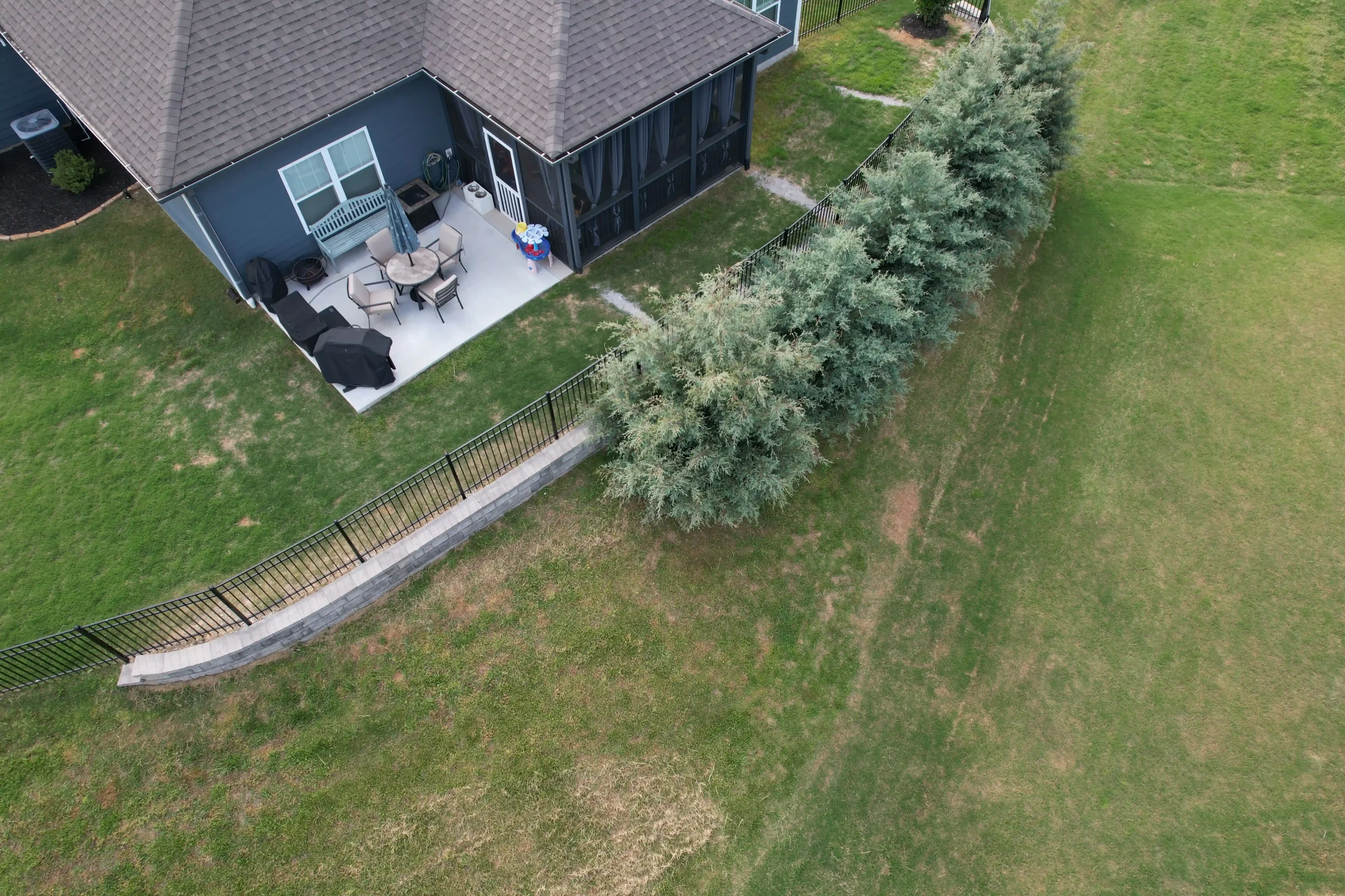 Ray Lawns placed these trees along the back patio to create privacy while still keeping the outdoor space open.