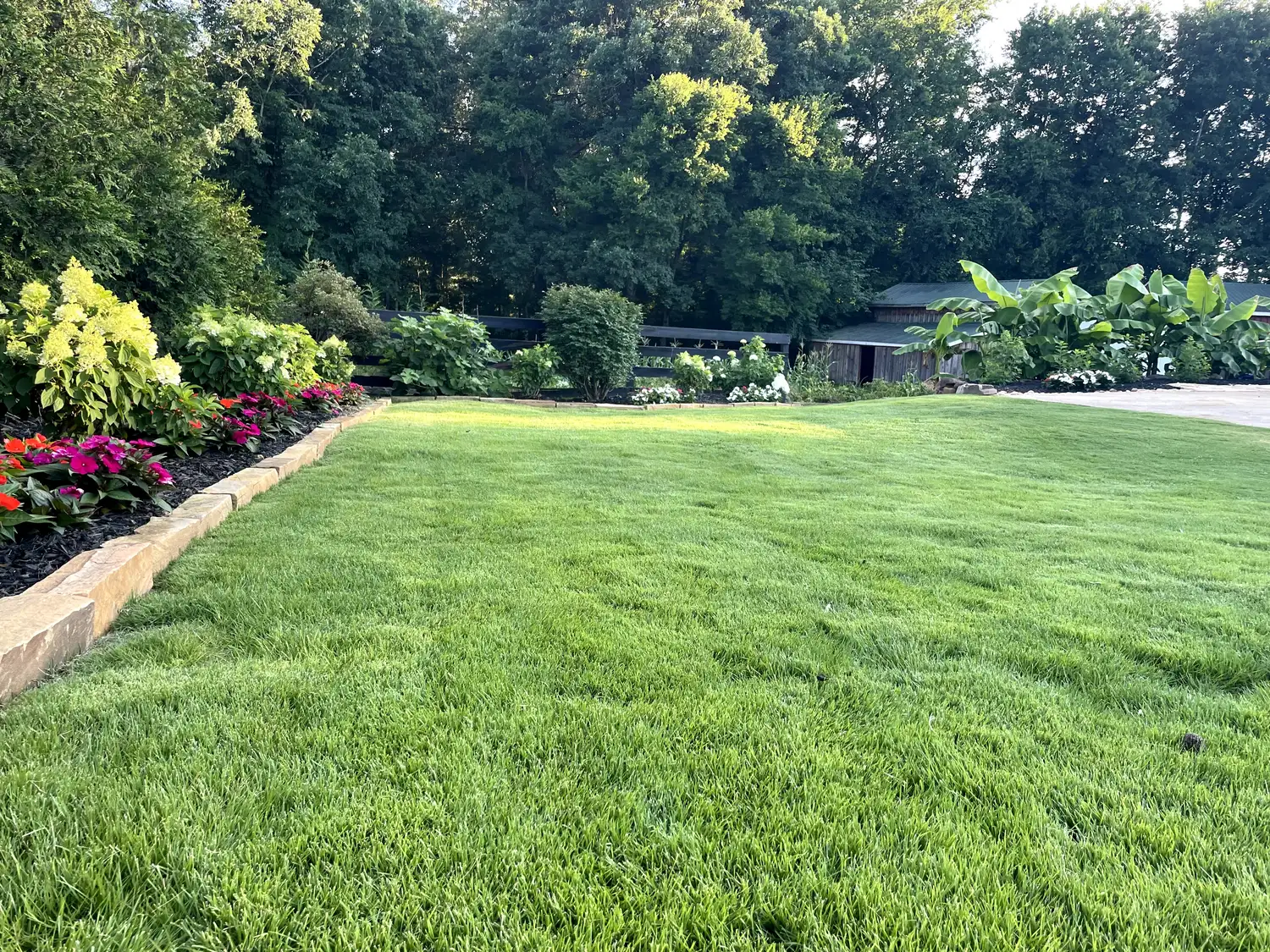 Vibrant backyard lawn with striped grass, stone-edged flower beds, colorful plants, and dense green trees behind