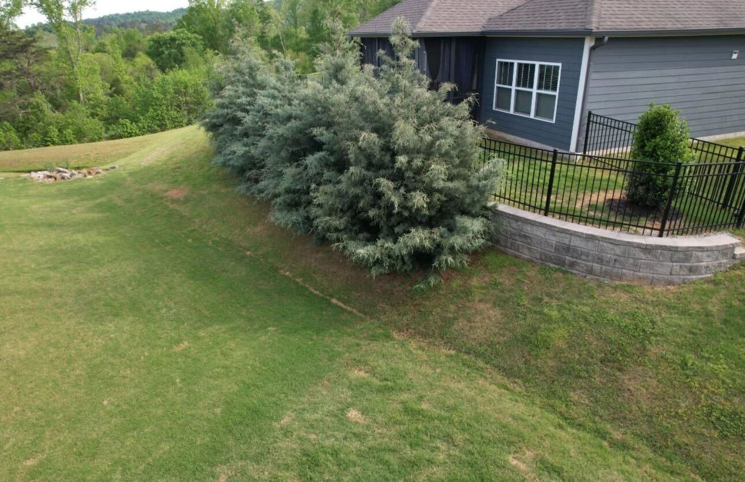 Lush striped grass stretches toward colorful flower beds and leafy backyard plantings framed by tall trees