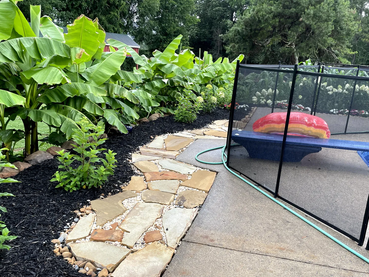 Lush banana leaves tower over a black mulch bed and natural stone path beside a backyard trampoline enclosure