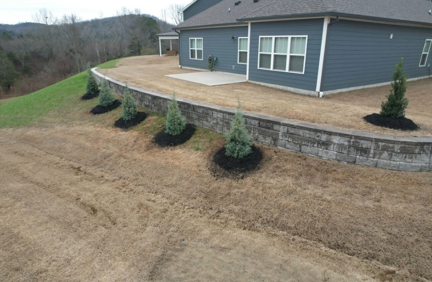 Young evergreens punctuate fresh black mulch along a sweeping retaining wall below the gray hillside home