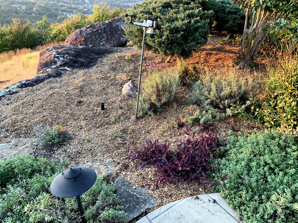 Rocky hillside landscaping glows in warm light with boulders, soft grasses, purple foliage, and garden path lights