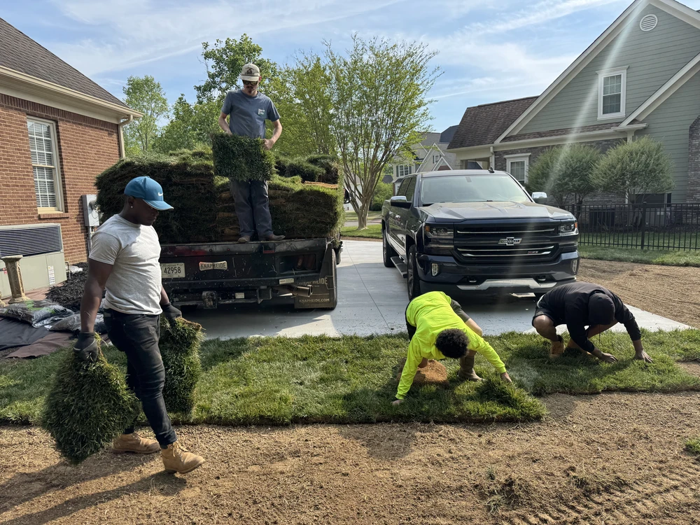 Sod installation crew lays thick turf rolls across the sunny front lawn, blending fresh grass into the driveway edge