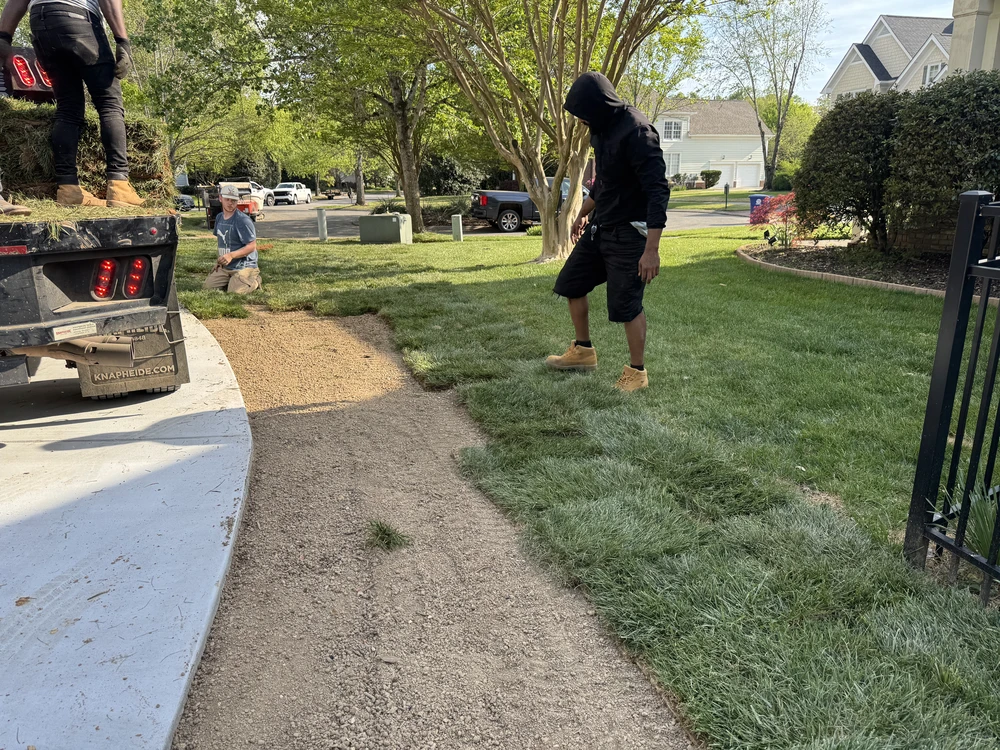 Sod installation in progress as fresh green turf is pressed into a shaded front yard, creating a soft new lawn beside the walkway