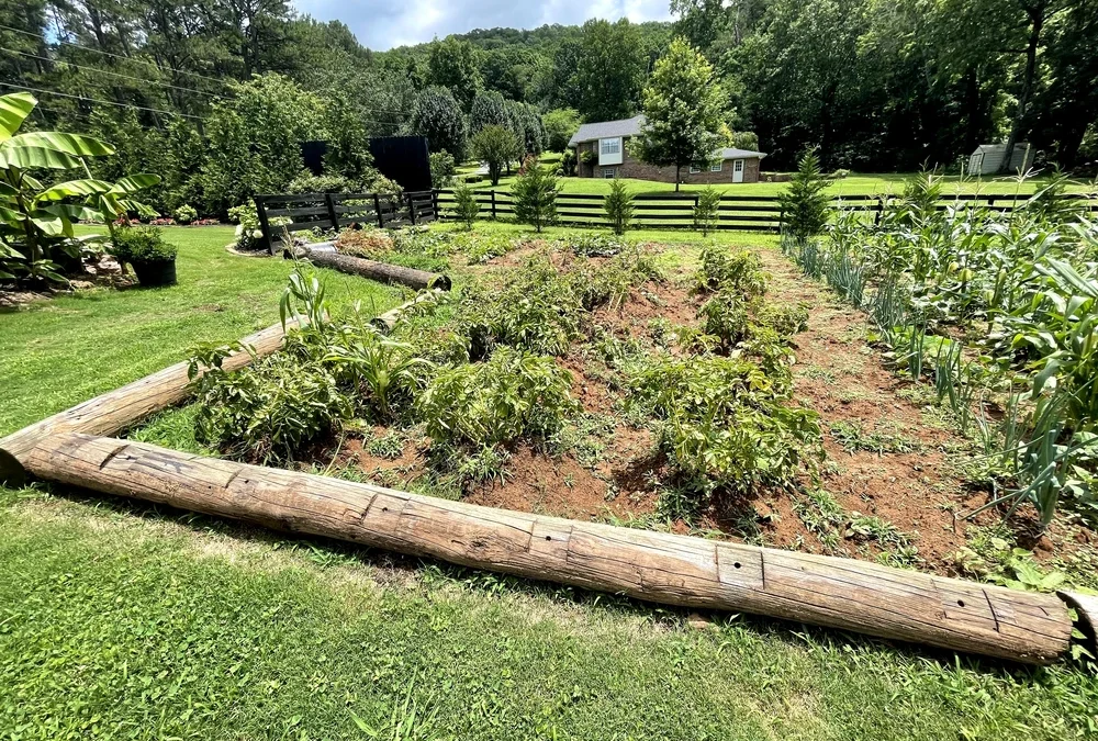 Professional Landscaping Services in Ringgold, GA: A Local Homeowner’s Guide