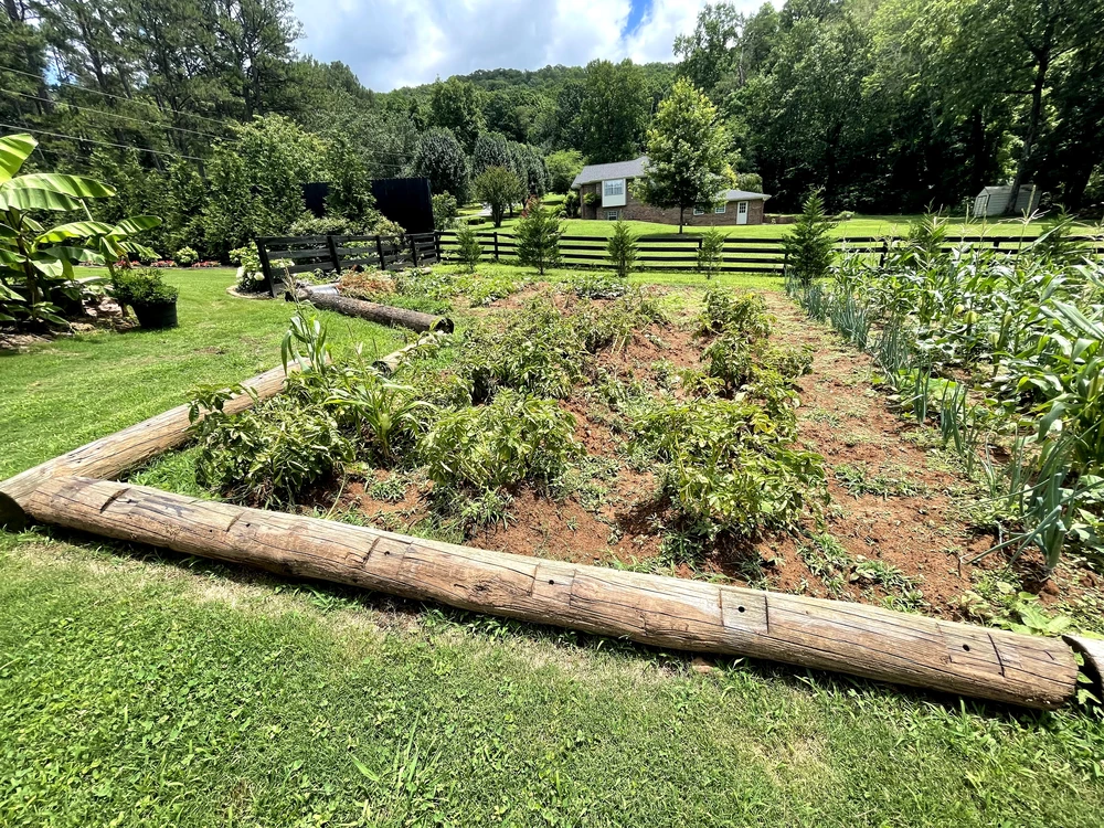 Professional Landscaping Services in Ringgold, GA: A Local Homeowner’s Guide