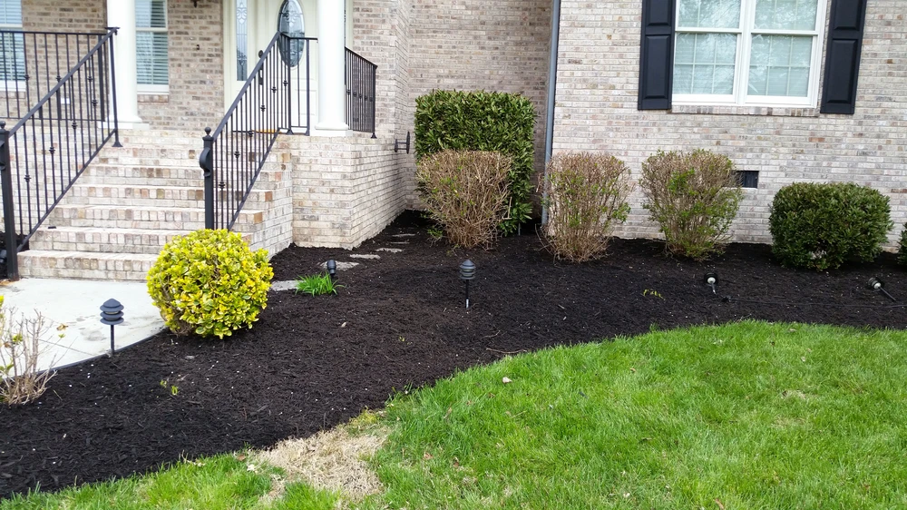 Rich black mulch curves around trimmed green shrubs beside brick steps. A bright lawn borders the front garden.